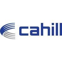 Cahill Group, The