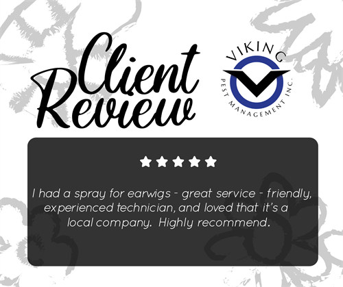 Here's one review from one of our happy customers!