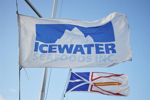 Gallery Image icewater-OCI-2025-233.jpg