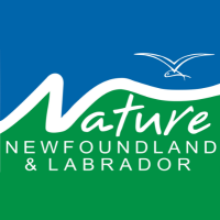 Nature Newfoundland & Labrador