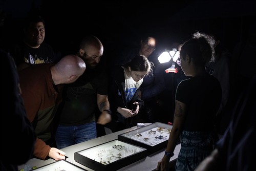 Moth Night at the Botanical Gardens