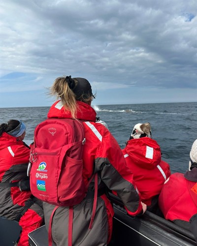 Whale-Watching Backpacks 