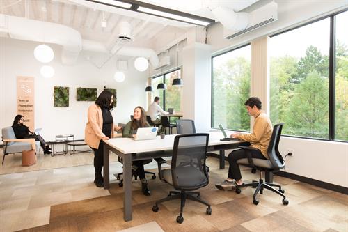 Open co-working space for collaboration, calls, and more.