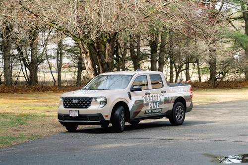 Gallery Image IMG_0590.jpeg