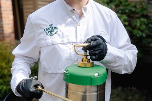 Gallery Image IMG_0607.jpeg