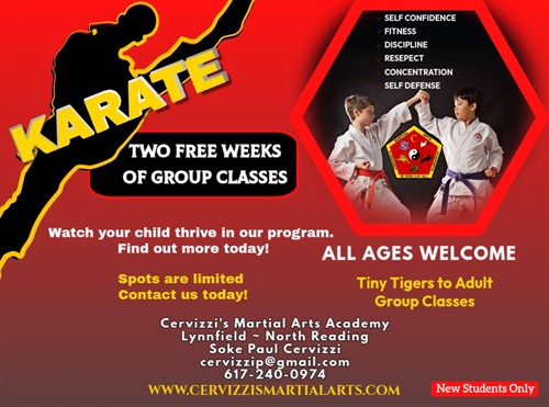 Two Free Weeks of Marital Art Classes - North Reading & Lynnfield Locations Only