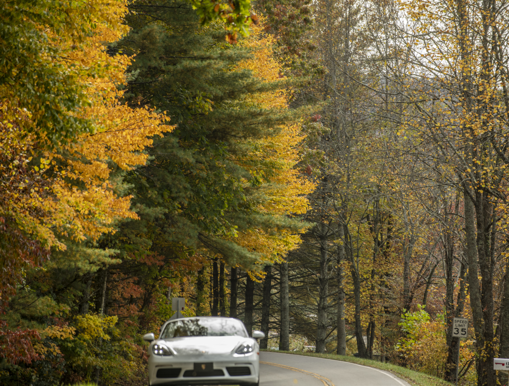 Image for Ride the Roads and Explore Blairsville's Scenery This Fall
