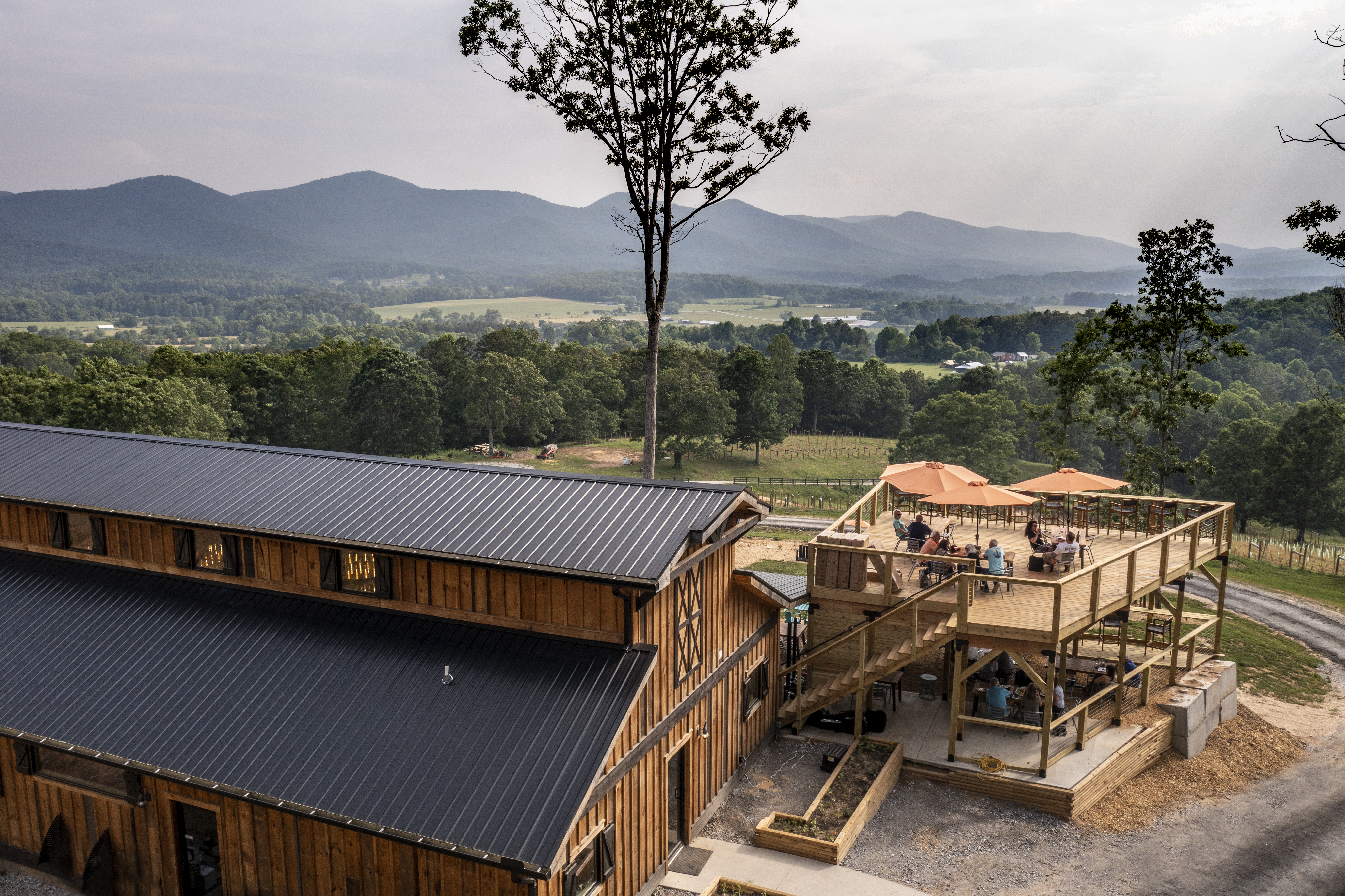 Image for Sip, Stay & Savor: Discover Blairsville's Wineries, Vineyards, Brewery and Distillery