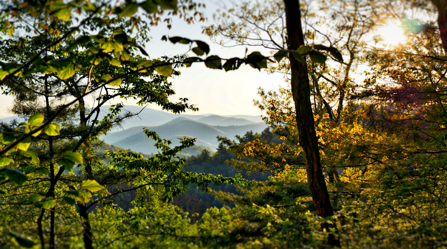 Image for Top Things to Do in Blairsville, Georgia This Fall