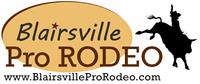 12th Annual Blairsville Pro Rodeo