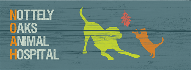 Nottely Oaks Animal Hospital Nottely Oaks Animal Hospital