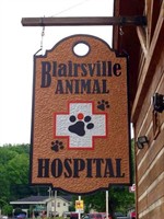 Blairsville Animal Hospital