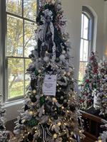 WNC FESTIVAL OF TREES AT THE BEAL CENTER, HAYESVILLE NC