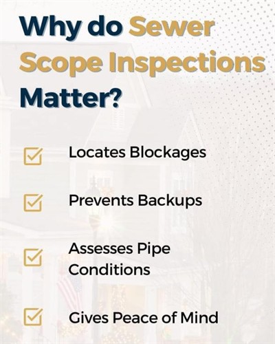 Why Mold Testing