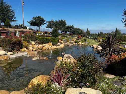 Gallery Image Sunshine_water.jpg Gallery Image Sunshine_water.jpg
