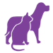 Memorial Pet Vigil