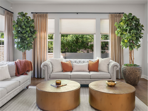 A touch of softness wit drapery panels added to the energy efficient honeycomb shades.
