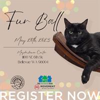 Homeward Pet Fur Ball Auction and Dinner