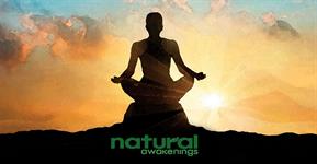 Seattle Natural Awakenings Magazine Seattle Natural Awakenings Magazine