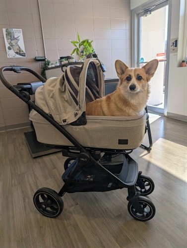 Gallery Image PXL_20250916_185342733.jpg