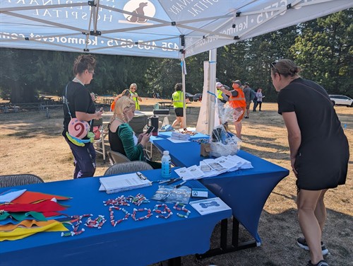 2025 Kenmore Weinier dog races