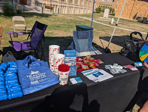 2025 Kenmore Weinier dog races