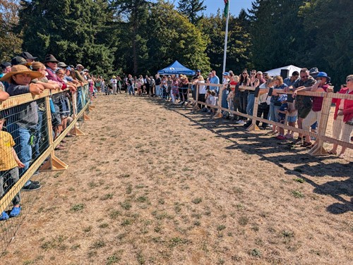 2025 Kenmore Weinier dog races