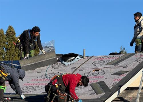 Asphalt Shingle Roof Installation