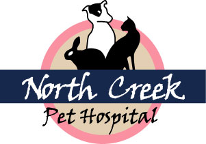 North Creek Pet Hospital North Creek Pet Hospital
