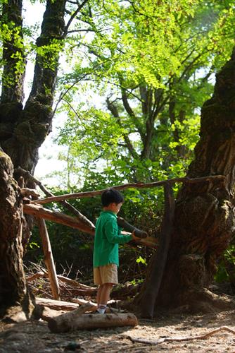 Gallery Image DSC03267.JPG