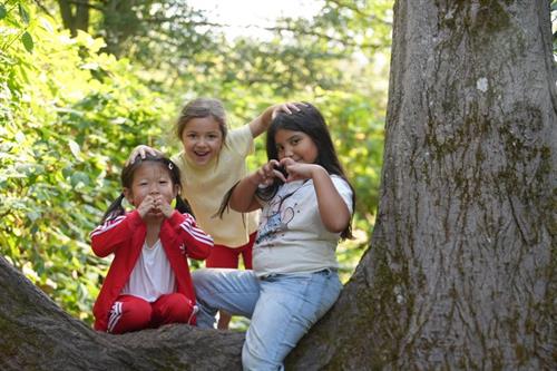 Gallery Image DSC03300.JPG