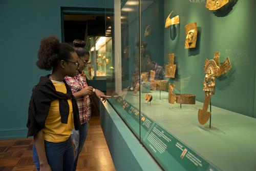 Gallery Image MFAH_Sarofim_Campus_Caroline_Wiess_Law_Building._visitors_in_galleries._Photo_by_Jenny_Antill._Courtesy_of_the_Museum_of_Fine_Arts._Houston.jpg