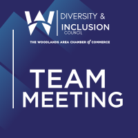 Diversity & Inclusion Council Team Meeting