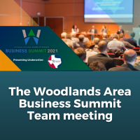 The Woodlands Area Business Summit Team Meeting