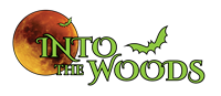 3rd Annual Into the Woods Halloween Party