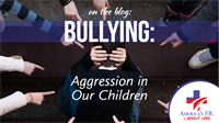 Bullying: Aggression in our Children