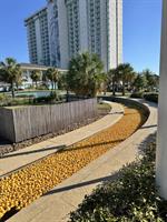 18th Annual Duck Race benefiting Community Assistance Center, presented by Waste Connections