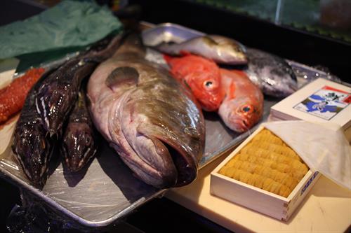 Fish flown in from toyosu market, Japan daily