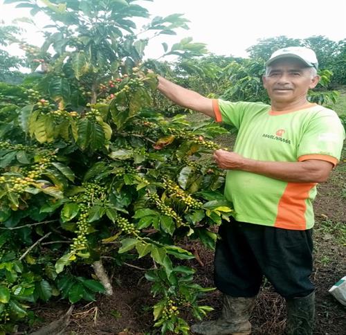 Ecuador Coffee farmer 