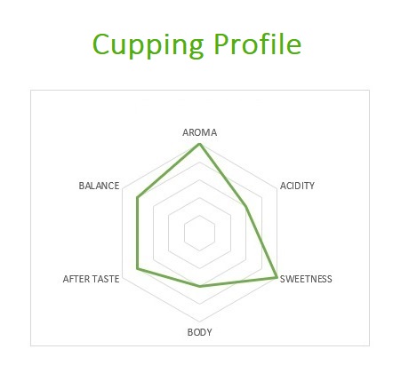 Cupping Profile