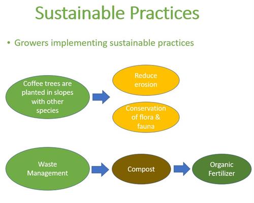 Sustainable practices