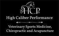High Caliber Performance, LLC