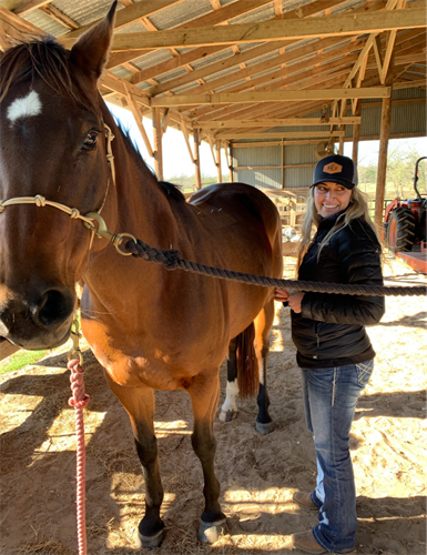 Monthly Acupuncture on our horse friends!