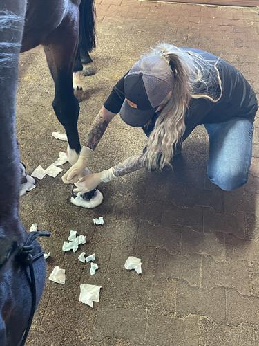 Dr. Newsham performing joint injections on a local performance horse