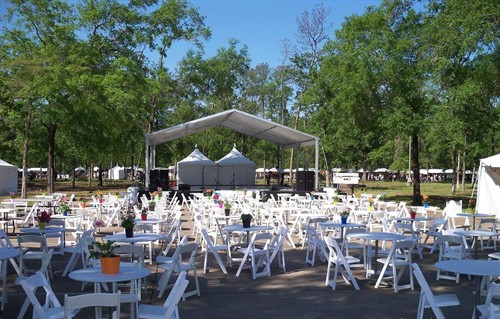 Gallery Image Art_Fest_Main_Stage_Area.jpg