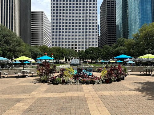 Gallery Image COH_-_Earth_Day_Event.jpg