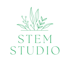 Stem Studio