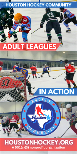 Adult Ice Hockey Leagues