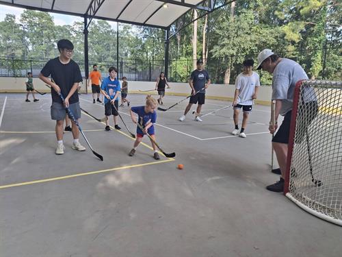 All Inclusive Hockey