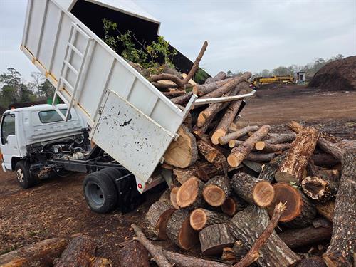 The Isuzu unloading at the landfill
